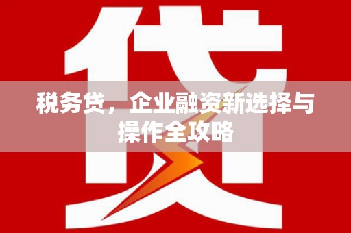 三亚税务贷，企业融资新选择与操作全攻略