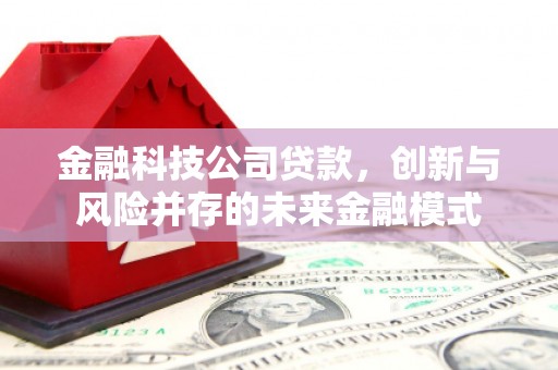 阜平金融科技公司贷款，创新与风险并存的未来金融模式