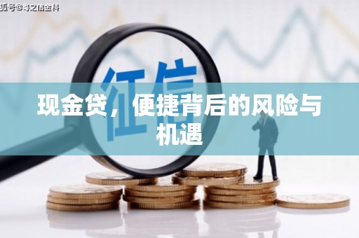 沿河现金贷，便捷背后的风险与机遇