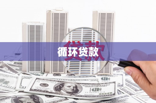 岳塘循环贷款