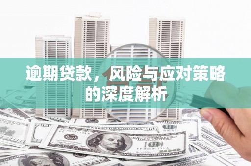 阜康逾期贷款，风险与应对策略的深度解析