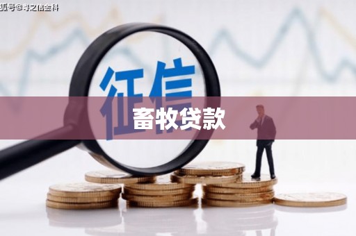 庆元畜牧贷款