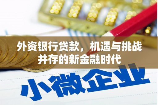 温江外资银行贷款，机遇与挑战并存的新金融时代