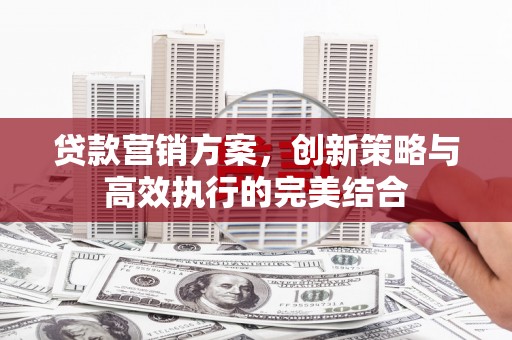 东宝贷款营销方案，创新策略与高效执行的完美结合