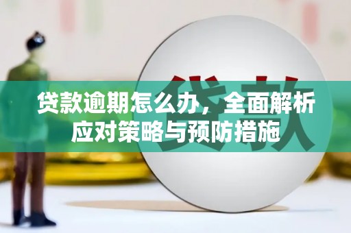 颍泉贷款逾期怎么办，全面解析应对策略与预防措施