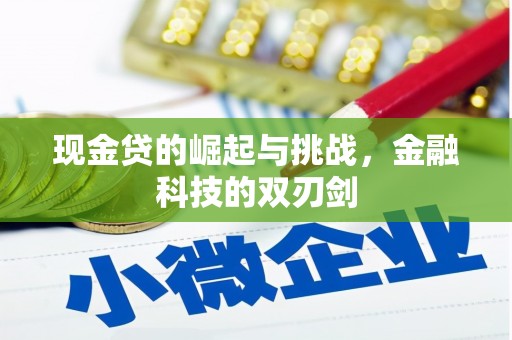 石城现金贷的崛起与挑战，金融科技的双刃剑