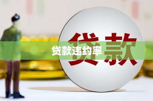 丰原贷款违约率