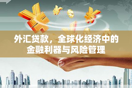 九原外汇贷款，全球化经济中的金融利器与风险管理