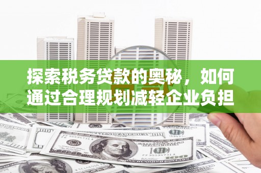 暖暖探索税务贷款的奥秘，如何通过合理规划减轻企业负担
