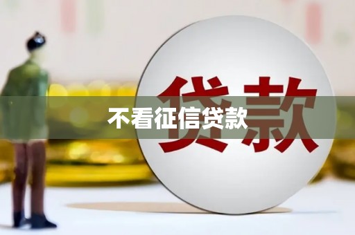 彝良不看征信贷款