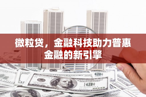 上林微粒贷，金融科技助力普惠金融的新引擎