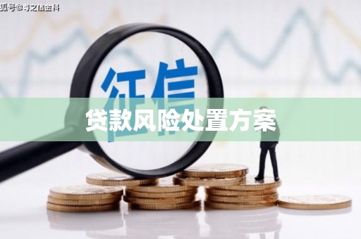 曲麻莱贷款风险处置方案
