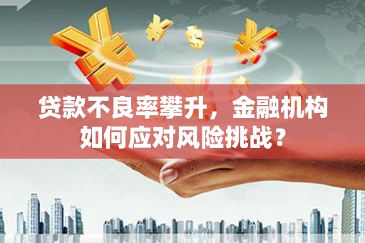 红星贷款不良率攀升，金融机构如何应对风险挑战？