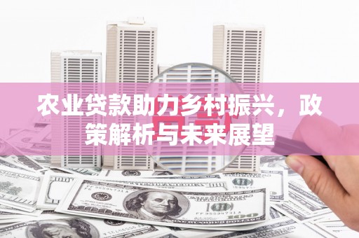 大名农业贷款助力乡村振兴，政策解析与未来展望