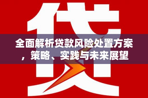 项城全面解析贷款风险处置方案，策略、实践与未来展望