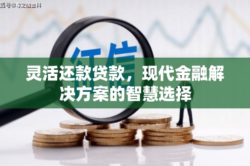 雾峰灵活还款贷款，现代金融解决方案的智慧选择