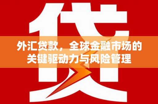阳东外汇贷款，全球金融市场的关键驱动力与风险管理
