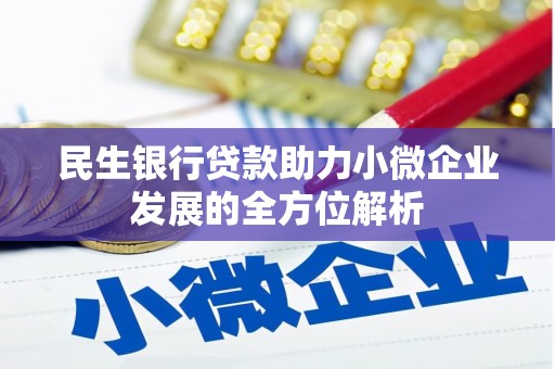 芦竹民生银行贷款助力小微企业发展的全方位解析