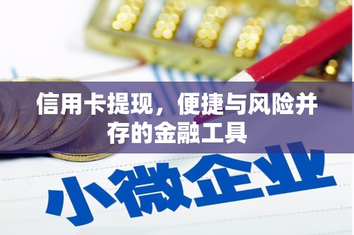 陆川信用卡提现，便捷与风险并存的金融工具