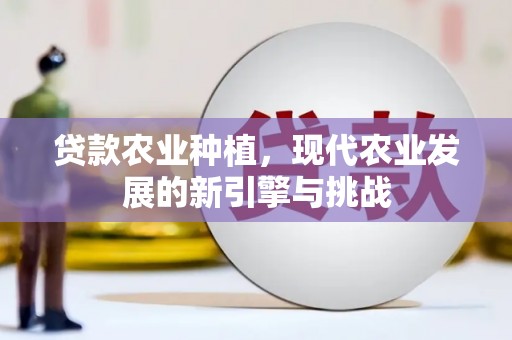南屯贷款农业种植，现代农业发展的新引擎与挑战