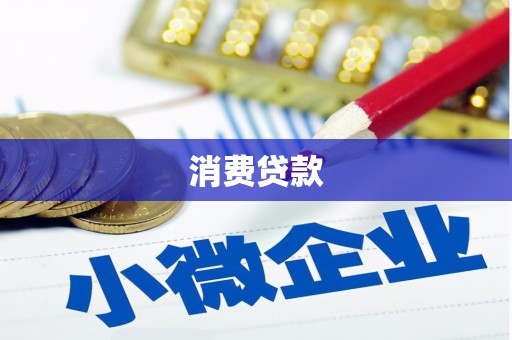 龙沙消费贷款