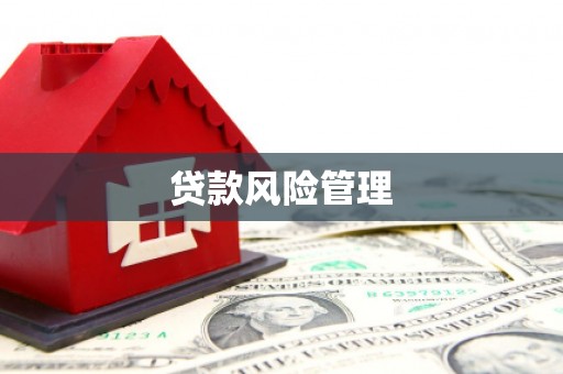 长安贷款风险管理