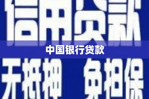 普格中国银行贷款