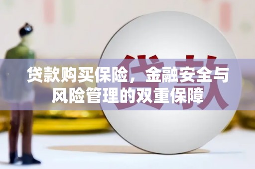 合阳贷款购买保险，金融安全与风险管理的双重保障
