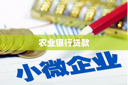 瑞芳农业银行贷款