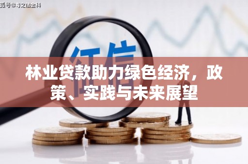 丰宁林业贷款助力绿色经济，政策、实践与未来展望