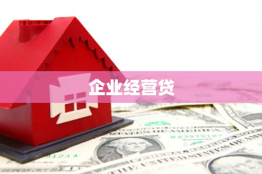 隆子企业经营贷