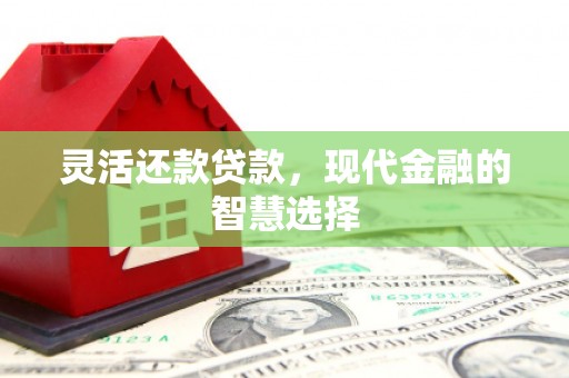 乐东灵活还款贷款，现代金融的智慧选择