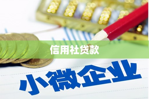 茂南信用社贷款