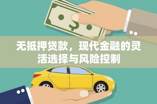 武胜无抵押贷款，现代金融的灵活选择与风险控制