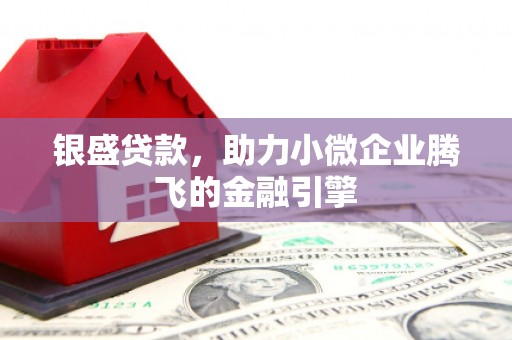 叙永银盛贷款，助力小微企业腾飞的金融引擎