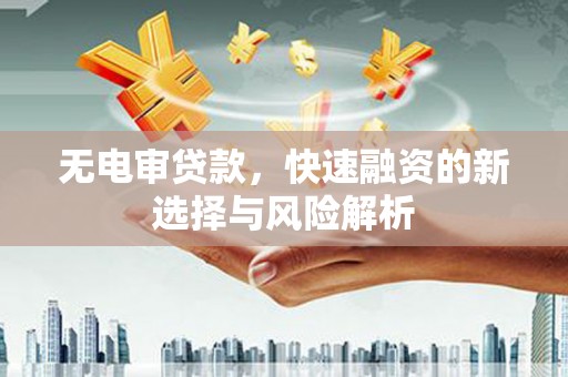 南化无电审贷款，快速融资的新选择与风险解析