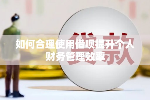 寿丰如何合理使用借呗提升个人财务管理效率