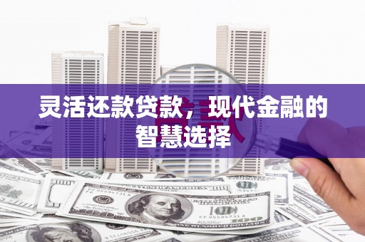 新埔灵活还款贷款，现代金融的智慧选择