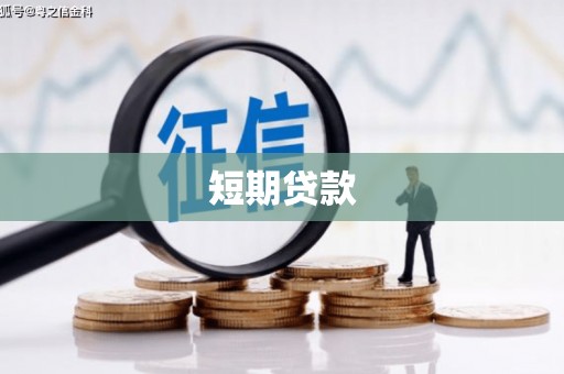 塔河短期贷款