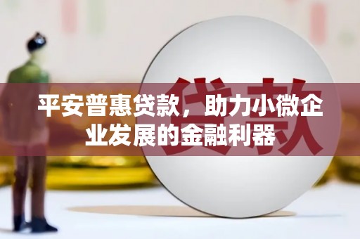 船营平安普惠贷款，助力小微企业发展的金融利器