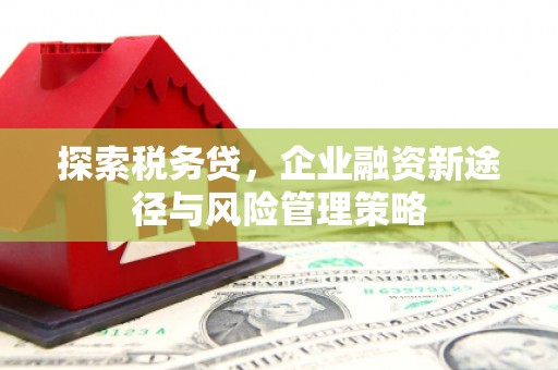 红安探索税务贷，企业融资新途径与风险管理策略