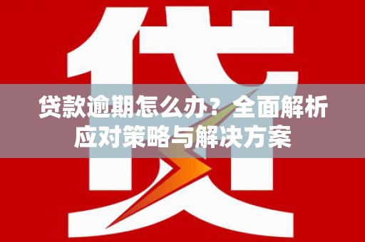 厦门贷款逾期怎么办？全面解析应对策略与解决方案
