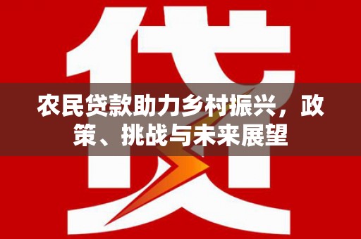 德州农民贷款助力乡村振兴，政策、挑战与未来展望