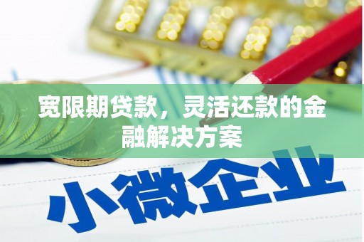 新界宽限期贷款，灵活还款的金融解决方案
