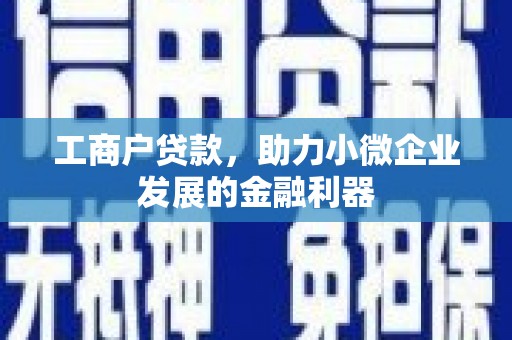 大丰工商户贷款，助力小微企业发展的金融利器