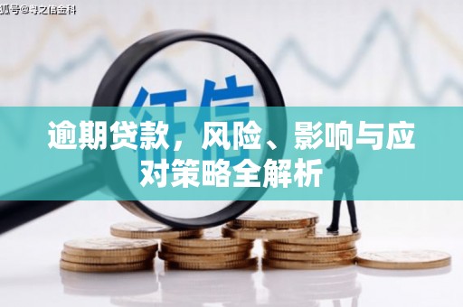 泰安逾期贷款，风险、影响与应对策略全解析