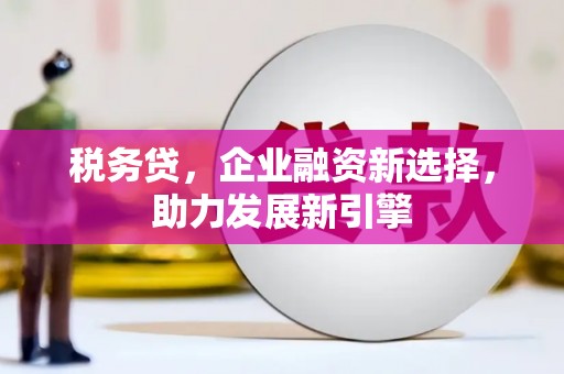 板桥税务贷，企业融资新选择，助力发展新引擎