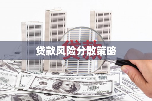 清水河贷款风险分散策略