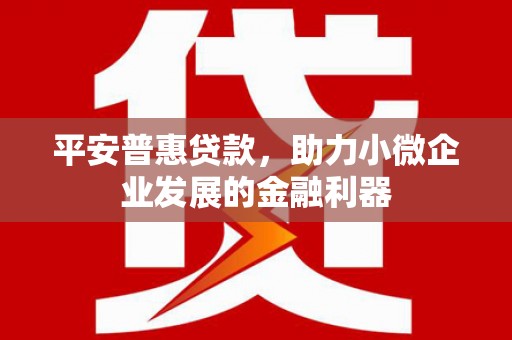 阳朔平安普惠贷款，助力小微企业发展的金融利器