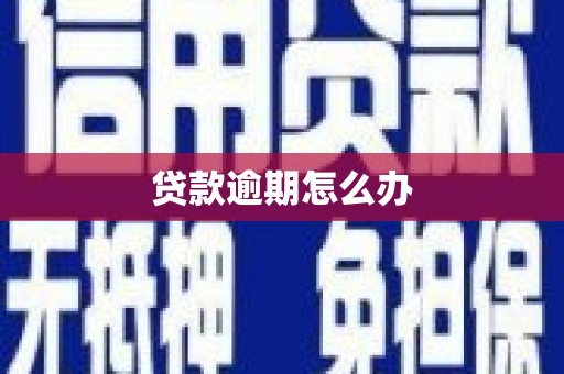泗阳贷款逾期怎么办